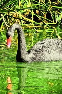 Cygne Noir Carnet de notes