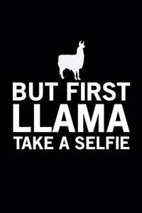 But First Llama Take A Selfie