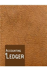 Accounting ledger
