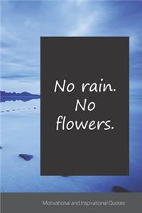 No rain. No flowers.