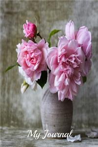 My Journal