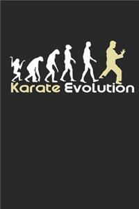 Karate Evolution