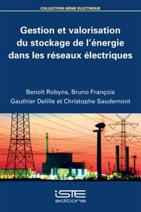 Gestion et valorisation du stockage de l'énergie dans les réseaux électriques