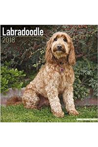 Labradoodle Calendar 2018 (Square)