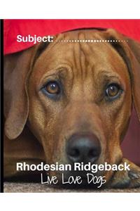 Rhodesian Ridgeback - Live Love Dogs!