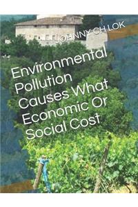 Environmental Pollution Causes What Economic or Social Cost