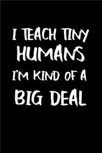 I Teach Tiny Humans I'm Kind of a Big Deal