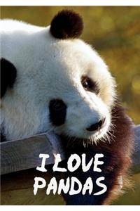 I Love Pandas Notebook