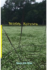 Broken Mirrors