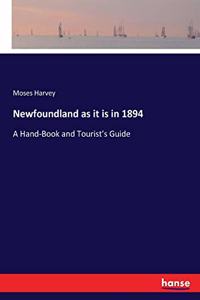 Newfoundland as it is in 1894