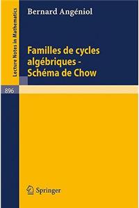 Familles de Cycles Algebriques - Schema de Chow