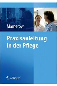 Praxisanleitung in Der Pflege