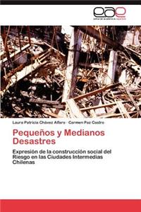 Pequenos y Medianos Desastres