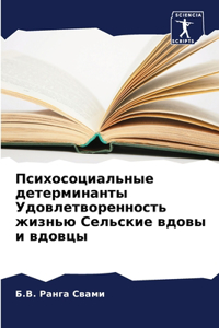 Психосоциальные детерминанты Удовлетво&#