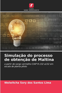 Simulação do processo de obtenção de Maltina
