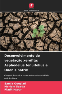 Desenvolvimento de vegetação xerófita
