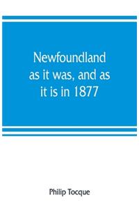 Newfoundland
