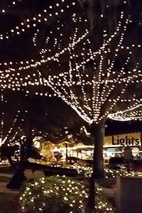 Lights