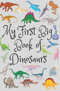 My First Big Book Of Dinosaurs