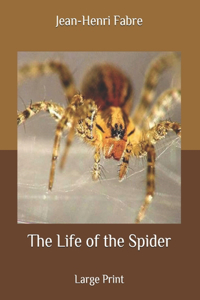 The Life of the Spider