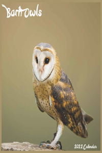 Barn Owls Calendar 2022
