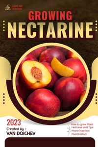 Nectarine