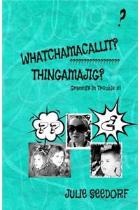 Whatchamacallit, Thingamajig