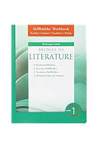 Bridges to Literature