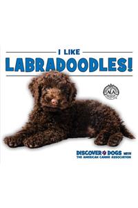I Like Labradoodles!