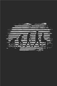 Evolution Of Drummer