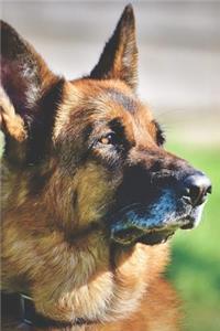 Noble German Shepherd Dog Journal