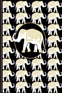 Thai White Elephant