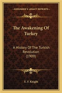 Awakening Of Turkey