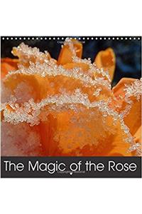 The Magic of the Rose 2018