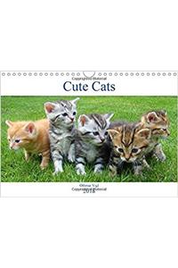 Cute Cats 2018