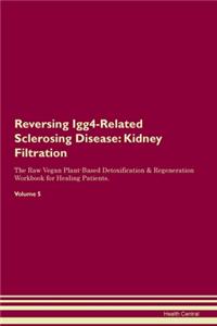 Reversing Igg4-Related Sclerosing Disease: Kidney Filtration The Raw Vegan Plant-Based Detoxification & Regeneration Workbook for Healing Patients. Volume 5