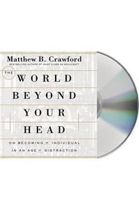 The World Beyond Your Head