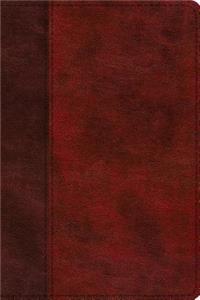 ESV Study Bible, Personal Size