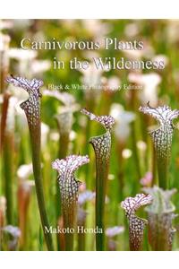 Carnivorous Plants in the Wilderness