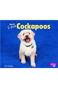 You'll Love Cockapoos