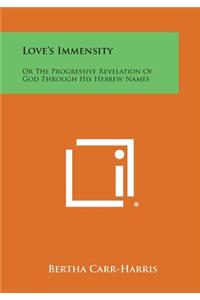 Love's Immensity