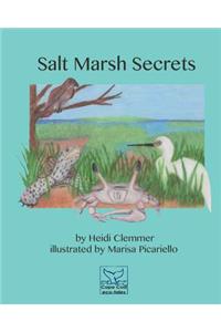 Salt Marsh Secrets