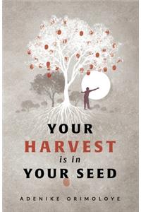 Your Harvest Is In Your Seed