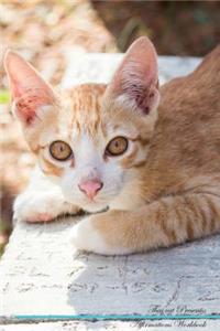 Thai Cat Affirmations Workbook Thai Cat Presents: Positive and Loving Affirmations Workbook. Includes: Mentoring Questions, Guidance, Supporting You.