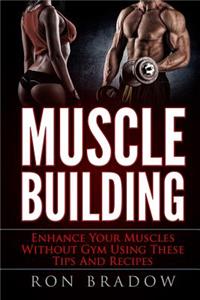 Muscle Building