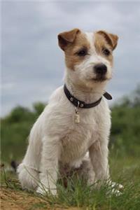 Jack Russell Terrier Dog Journal