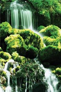 Moss Falls Notebook