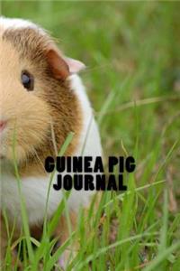 Guinea Pig Journal