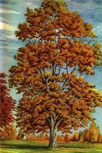 Journal Autumn Tree Fall Foliage Painting