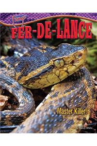 Fer-de-Lance